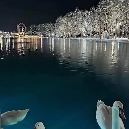 Kraljevi Konaci Olja Appartement Zlatibor