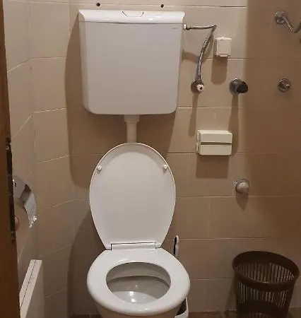 Kraljevi Konaci Olja Apartman Zlatibor