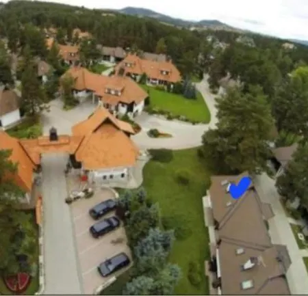 Kraljevi Konaci Olja *